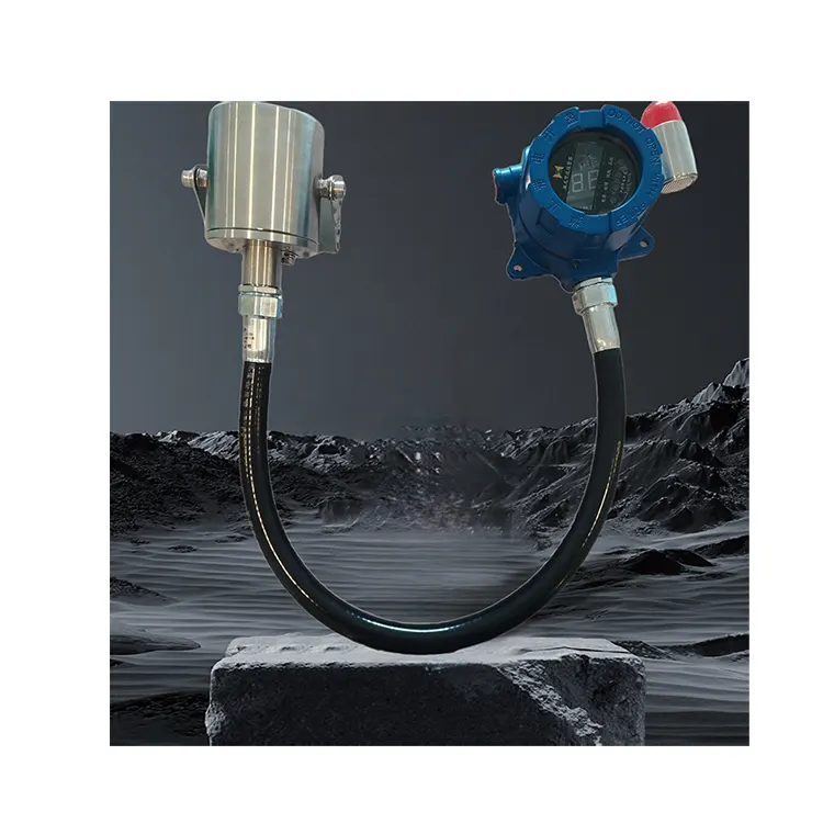 Detector de gaz cu cale deschisă